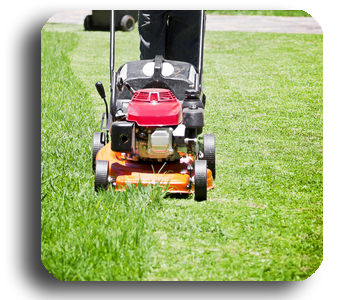Mowing lawn